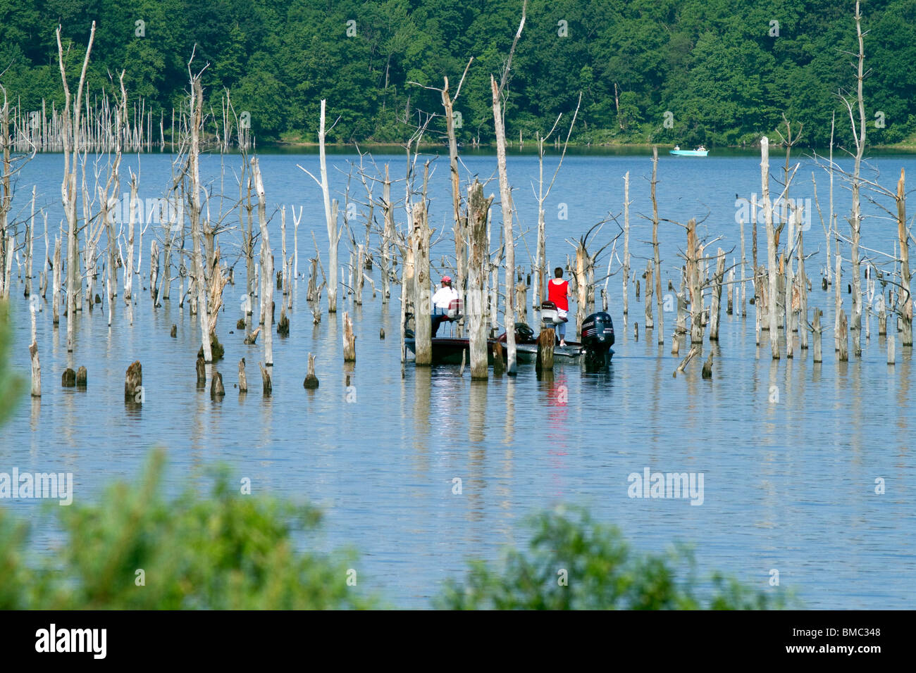 Un bateau de pêche basse structure de pêche un peuplement de vieux arbres morts. Banque D'Images