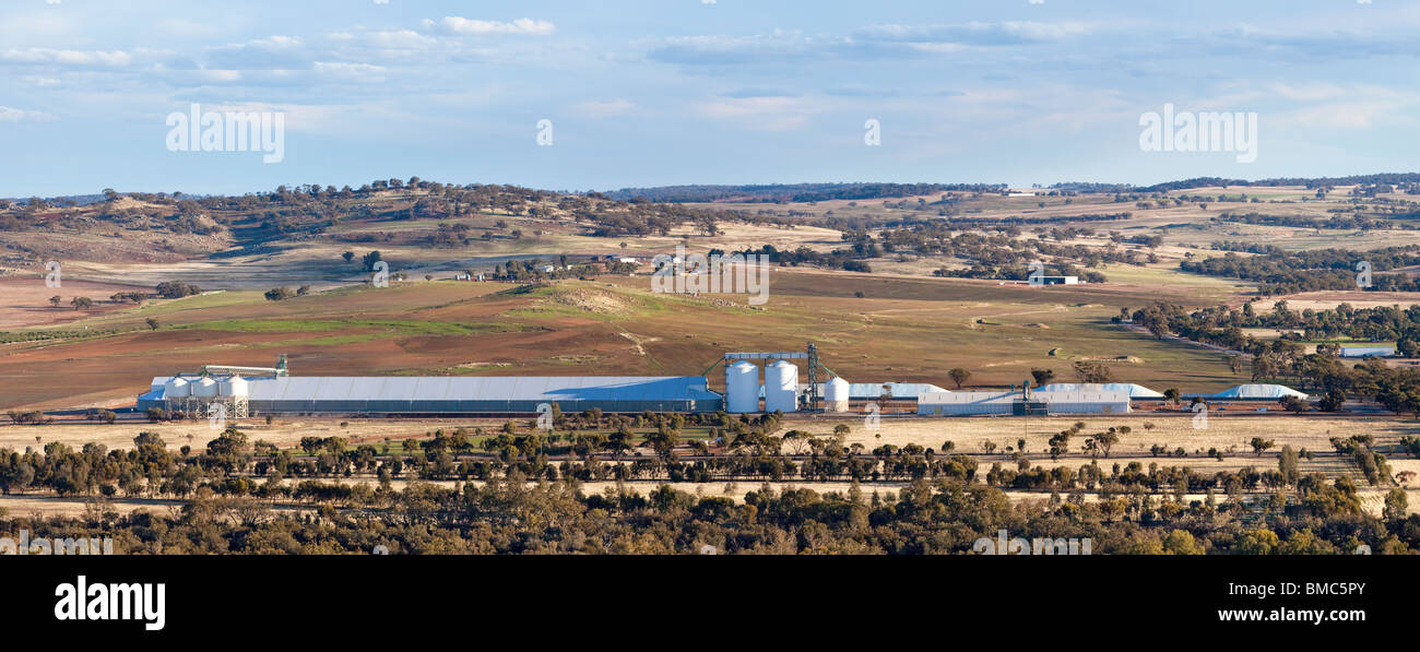 Les silos à grains de l'ouest de l'Australie sur une ferme près de York dans la vallée d'Avon. Banque D'Images