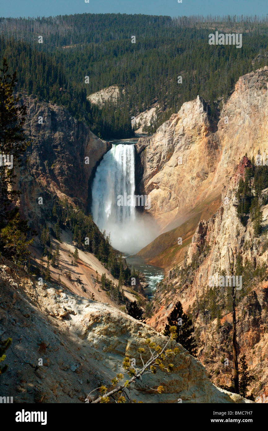 Domaine du Parc National de Yellowstone a appelé le Grand Canyon Banque D'Images