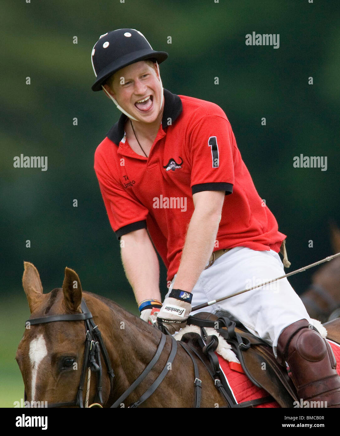 Le Prince Harry (No 4) et Harry (No 1) jouer au polo à Cirencester pour le Dorchester Cup en 2009 Banque D'Images