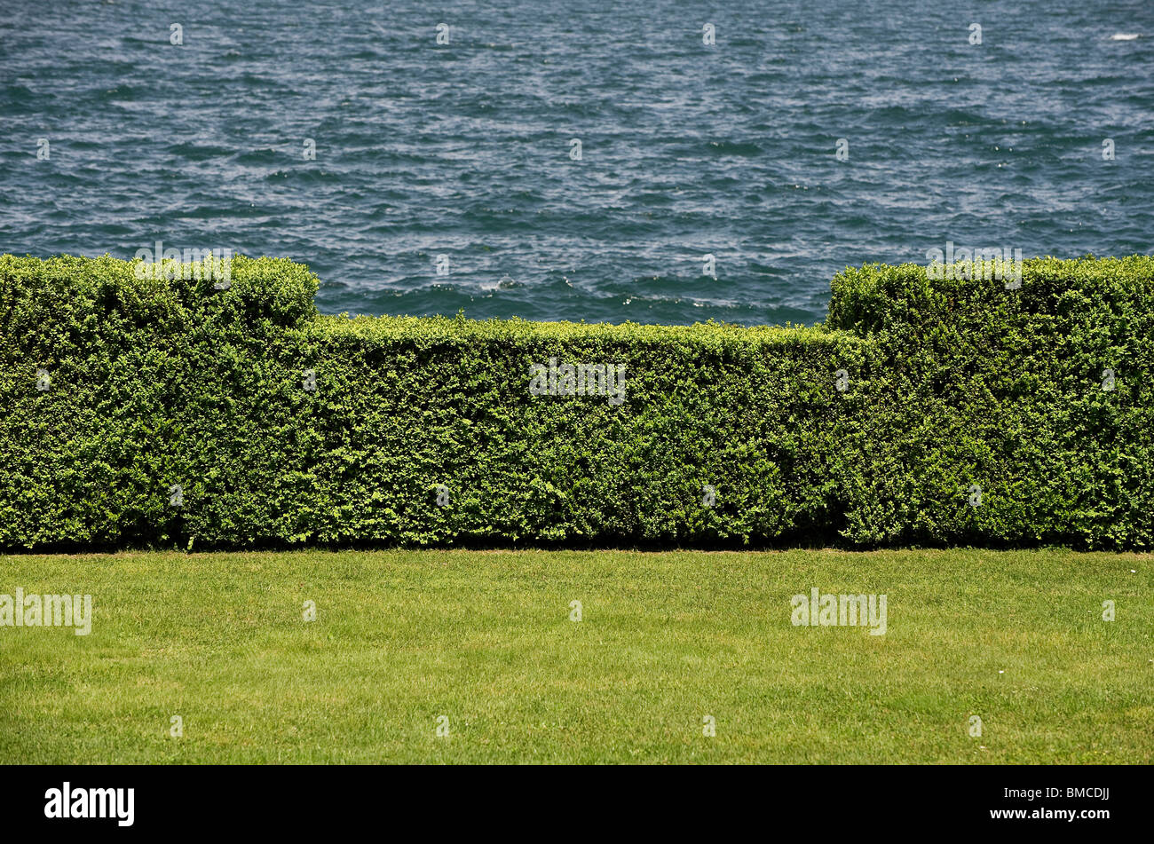 Jardin clippé haie, lac Majeur, Italie Banque D'Images