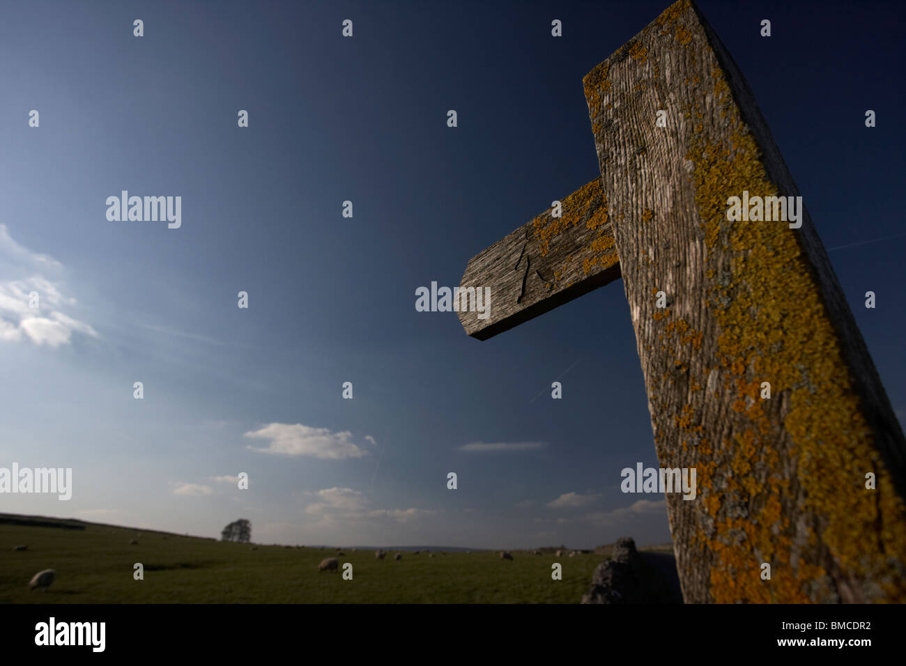 Panneau indiquant l'itinéraire à pied sentier droit de passage dans le Derbyshire Dales high peak district national park england uk Banque D'Images