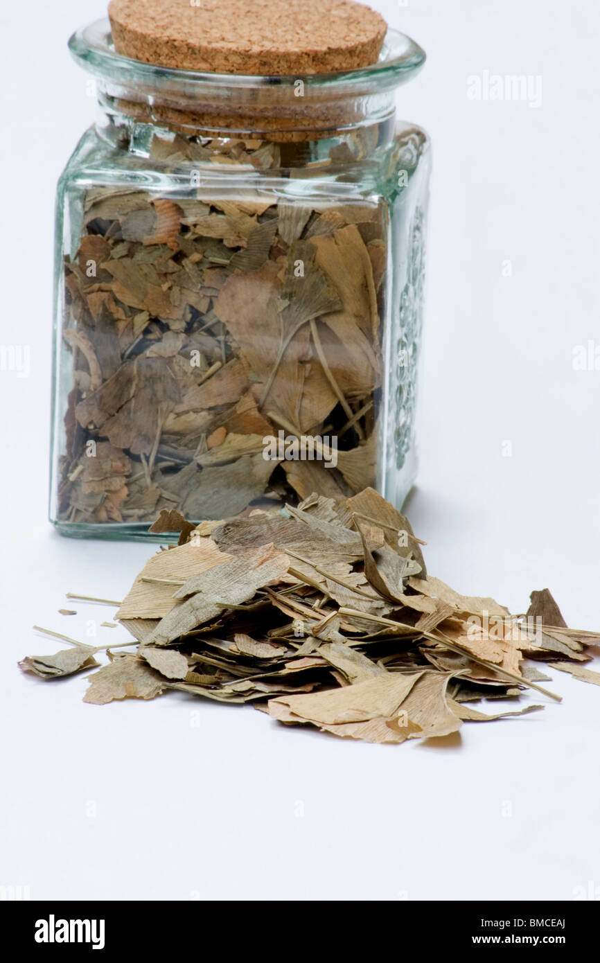 Close-up of Ginkgo biloba feuilles dans un bocal de verre Banque D'Images