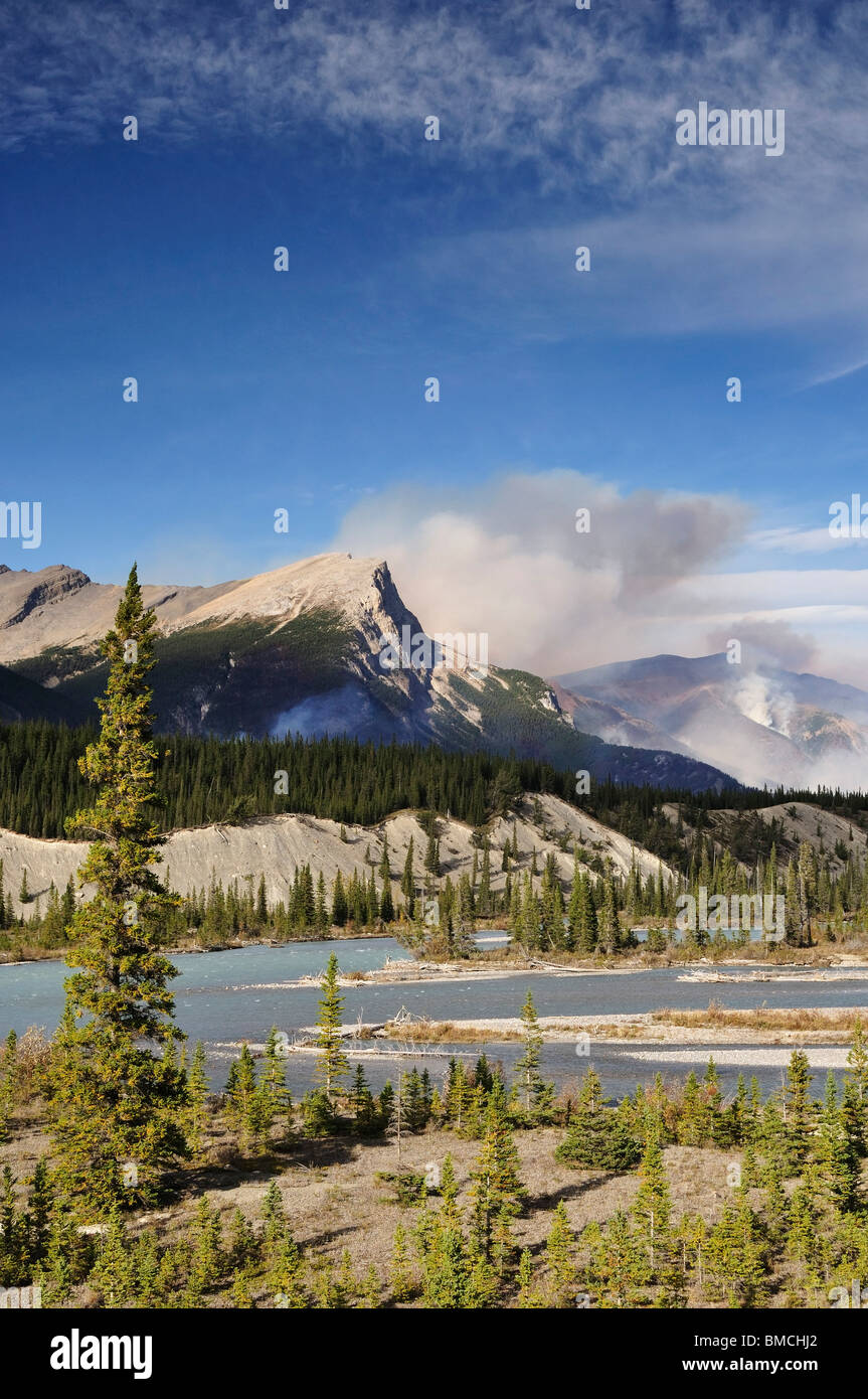 Les incendies de forêt et de la rivière Saskatchewan, Banff National Park, Alberta, Canada Banque D'Images