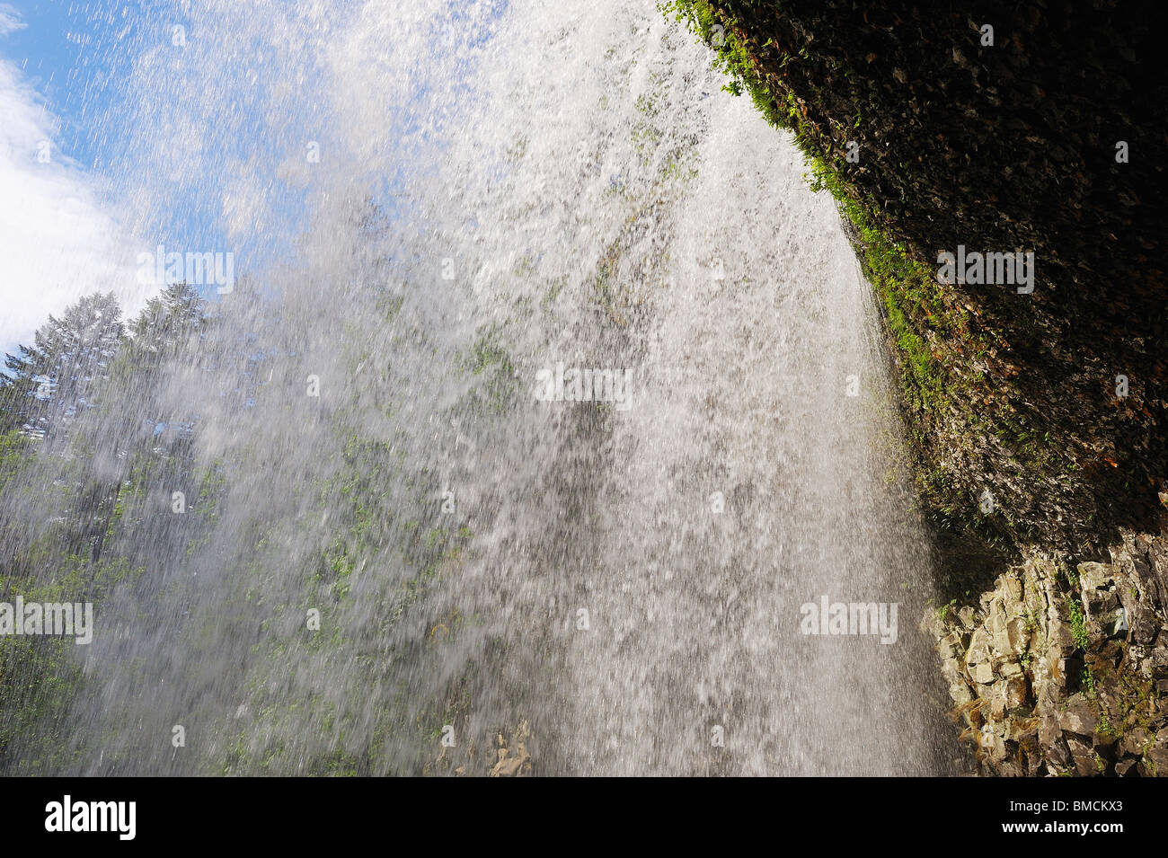 Lower South Falls, Silver Falls State Park, Marion County, Oregon, USA Banque D'Images