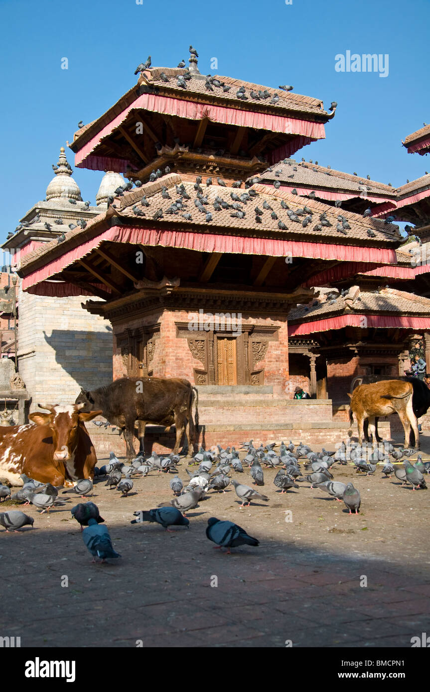 Katmandou Durbar Square ;;au Népal Banque D'Images