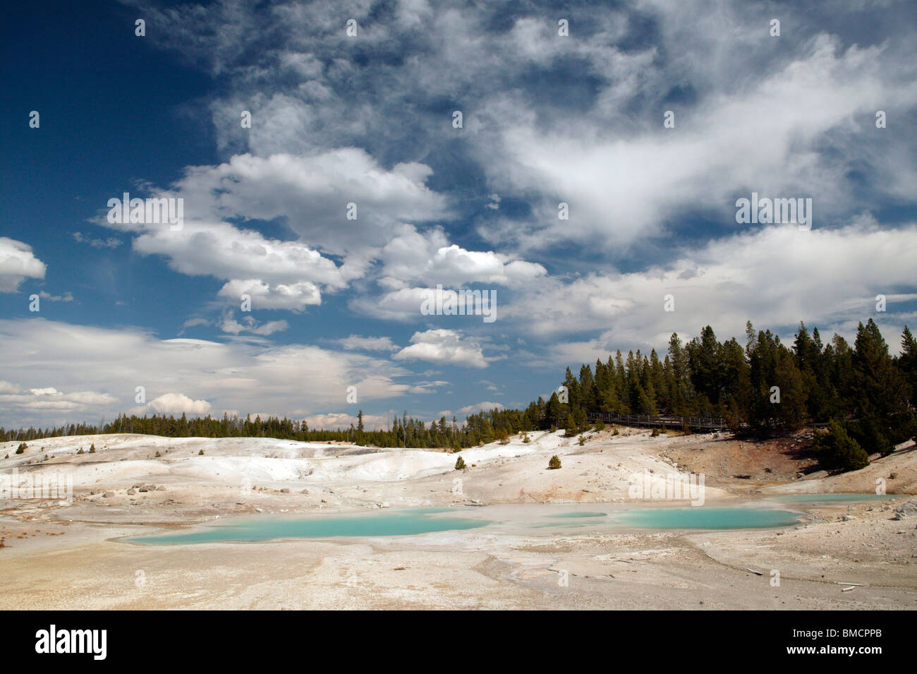 Couleur bleu les bassins dans le Parc National de Yellowstone Banque D'Images