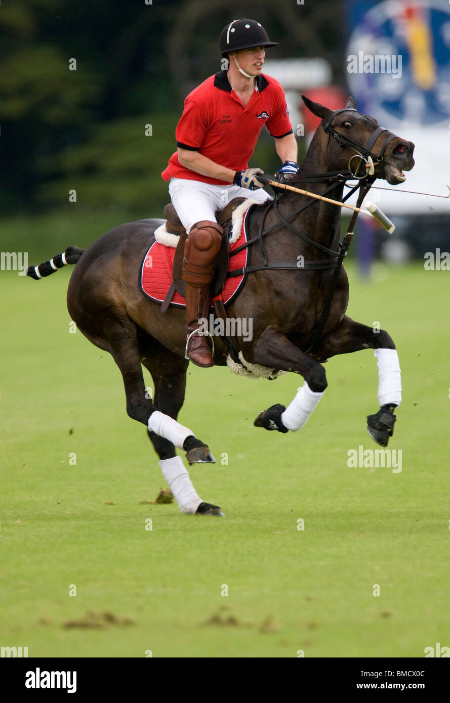 Le Prince William (No 4) jouer au polo à Cirencester pour le Dorchester Cup en 2009 Banque D'Images