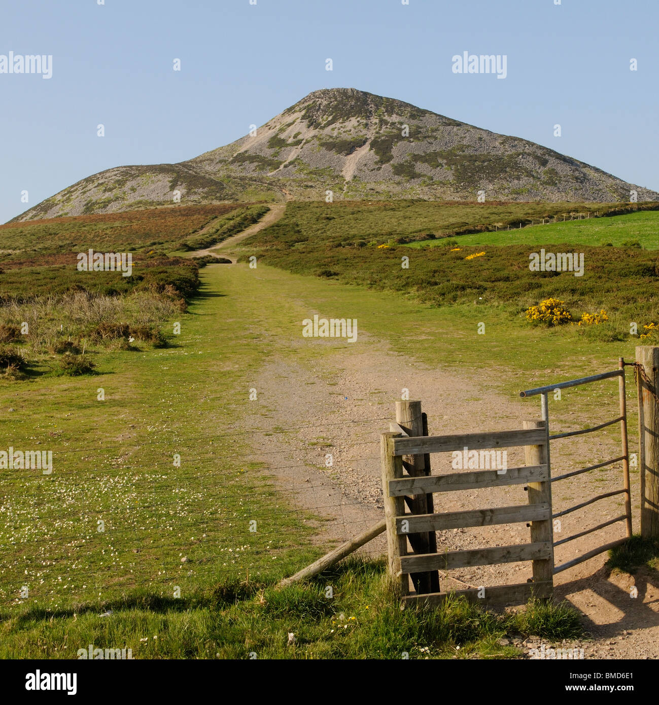 Le Grand Pain de Sucre au sud de Dublin dans les montagnes de Wicklow Comté de Wicklow, Irlande Banque D'Images