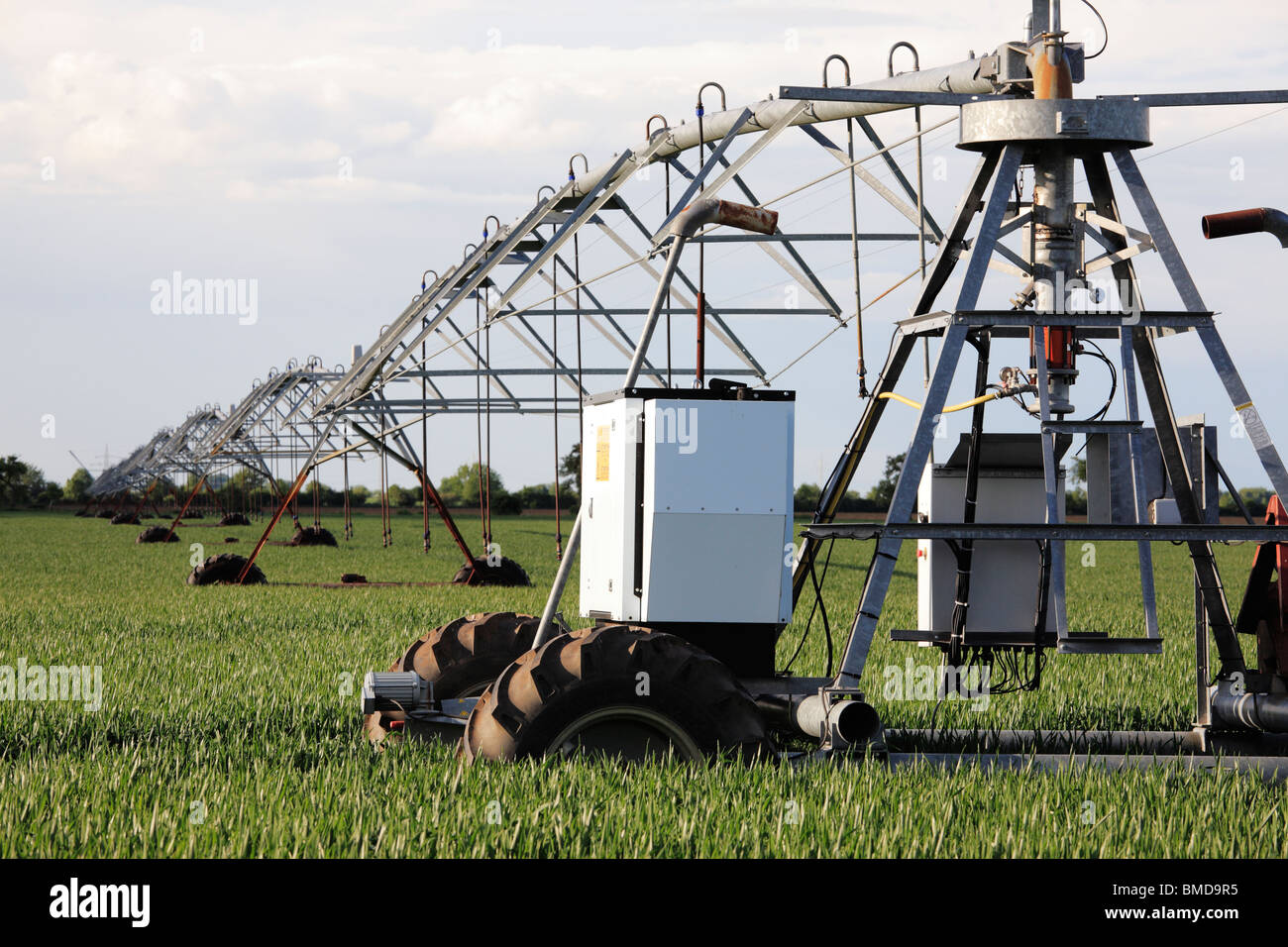 Pulvérisateur d'irrigation dans un champ de maïs en mai Banque D'Images