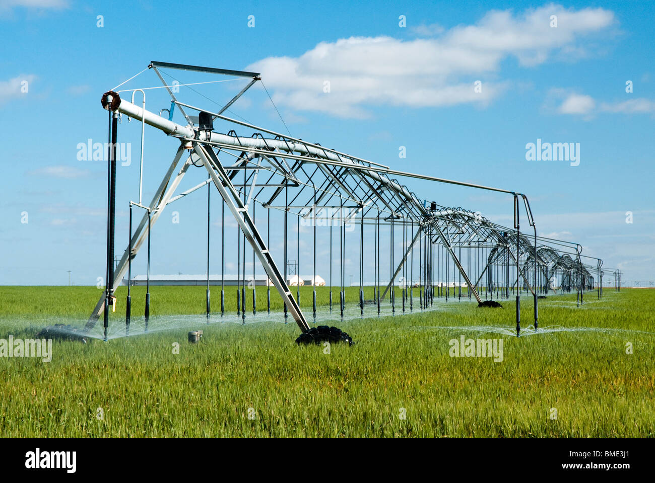 Un système d'irrigation à pivot central dans un champ de blé Banque D'Images