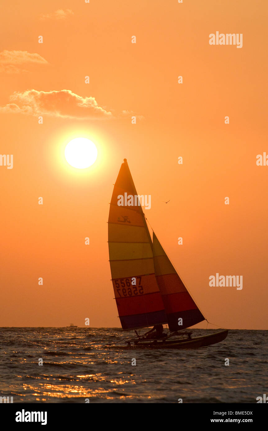 Voiliers au coucher du soleil dans le golfe du Mexique au large de Siesta Key Sarasota en Floride Banque D'Images