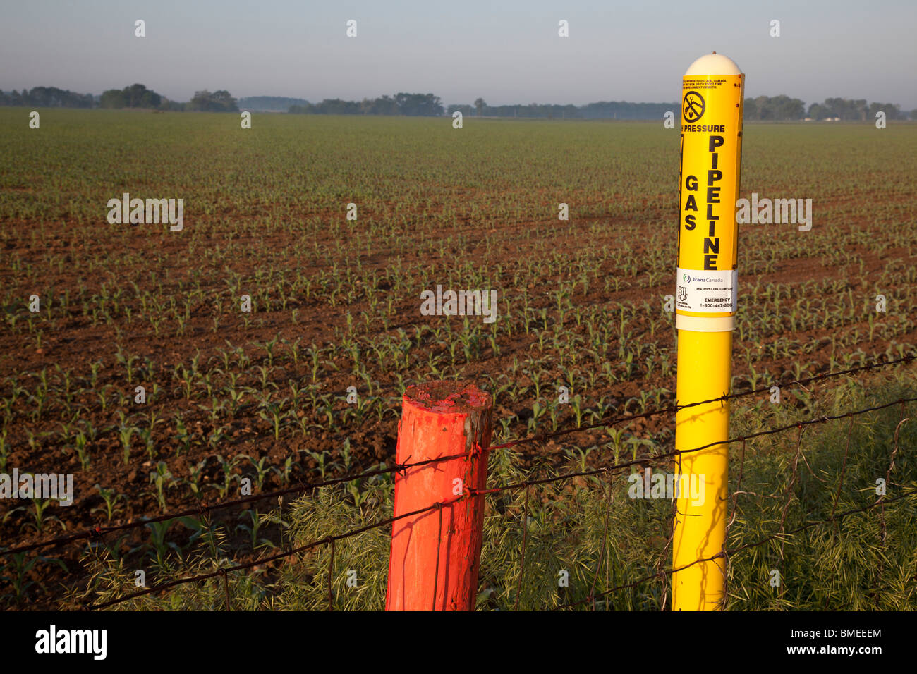 Shelbyville, Indiana - Un marqueur à la lisière d'un champ agricole met en garde d'un gazoduc. Banque D'Images