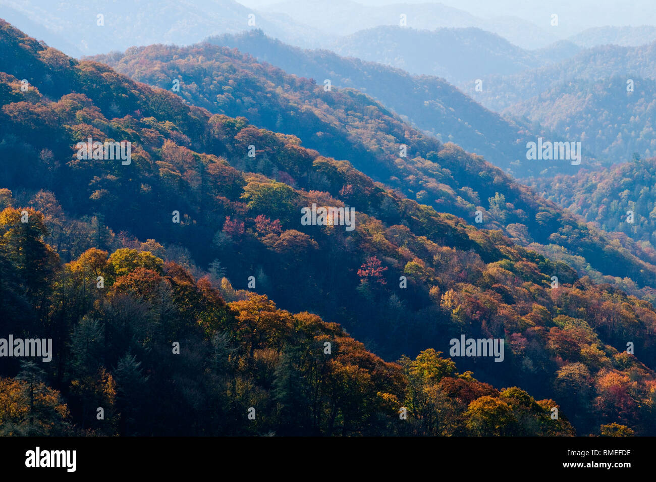 Amérique du Nord, USA, Caroline du Nord, vue de brouillard couvert Grand Smokey Mountains National Park, elevated view Banque D'Images