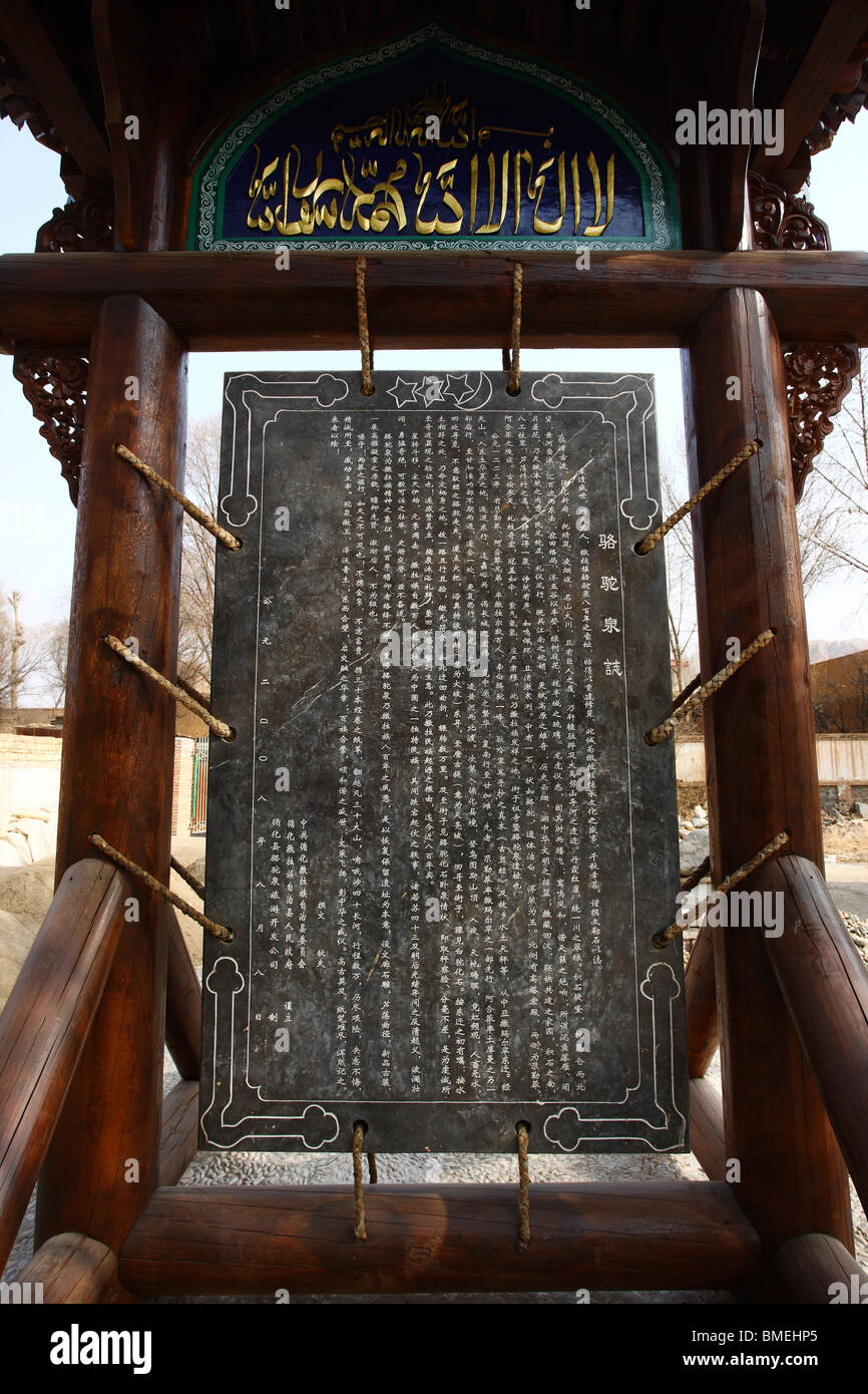 Introduction de printemps de chameau, Salar Xunhua comté autonome, Haidong préfecture, province de Qinghai, Chine Banque D'Images