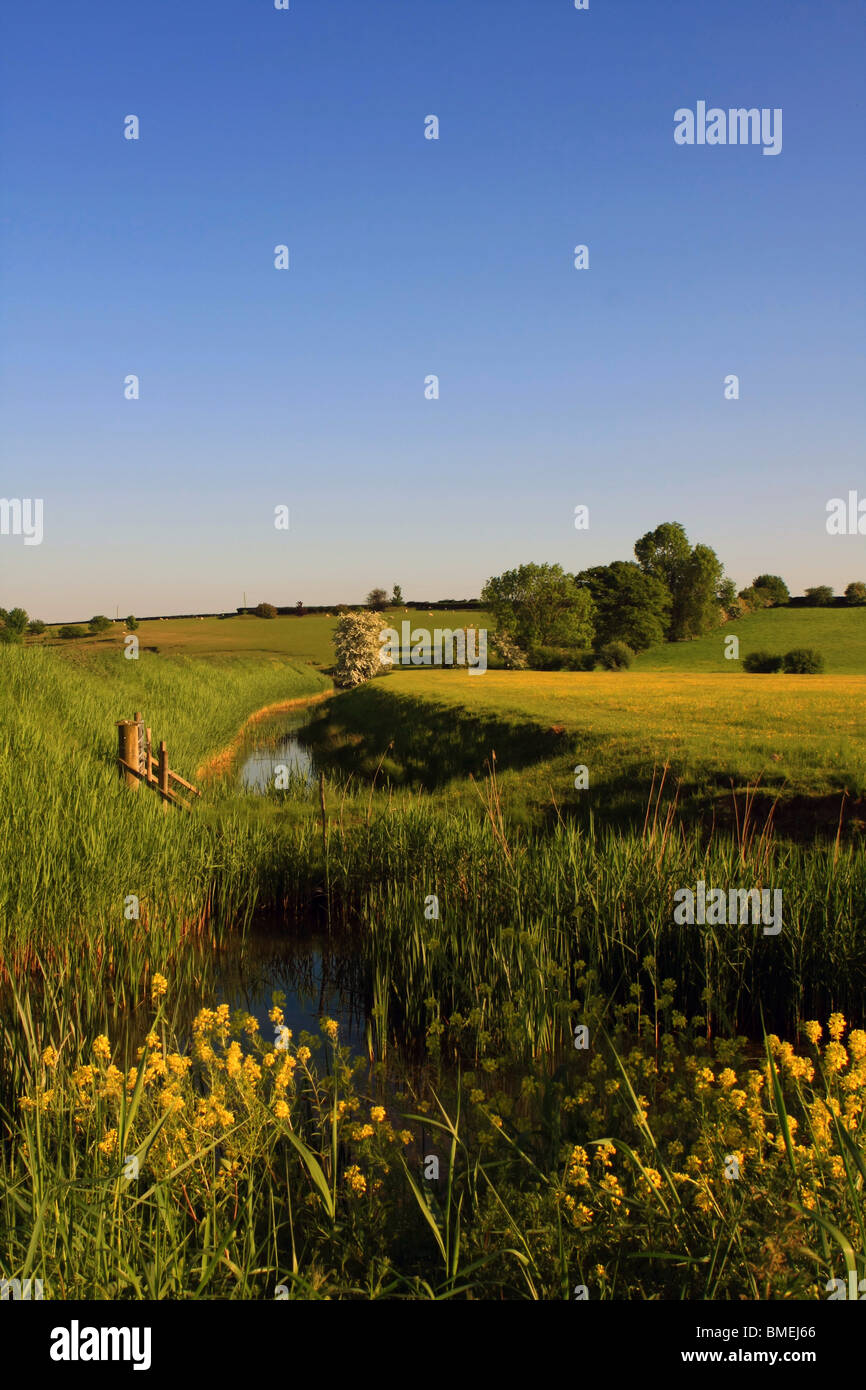 Une vue de campagne typique autour de petites Hythe, dans le Kent, Angleterre Banque D'Images
