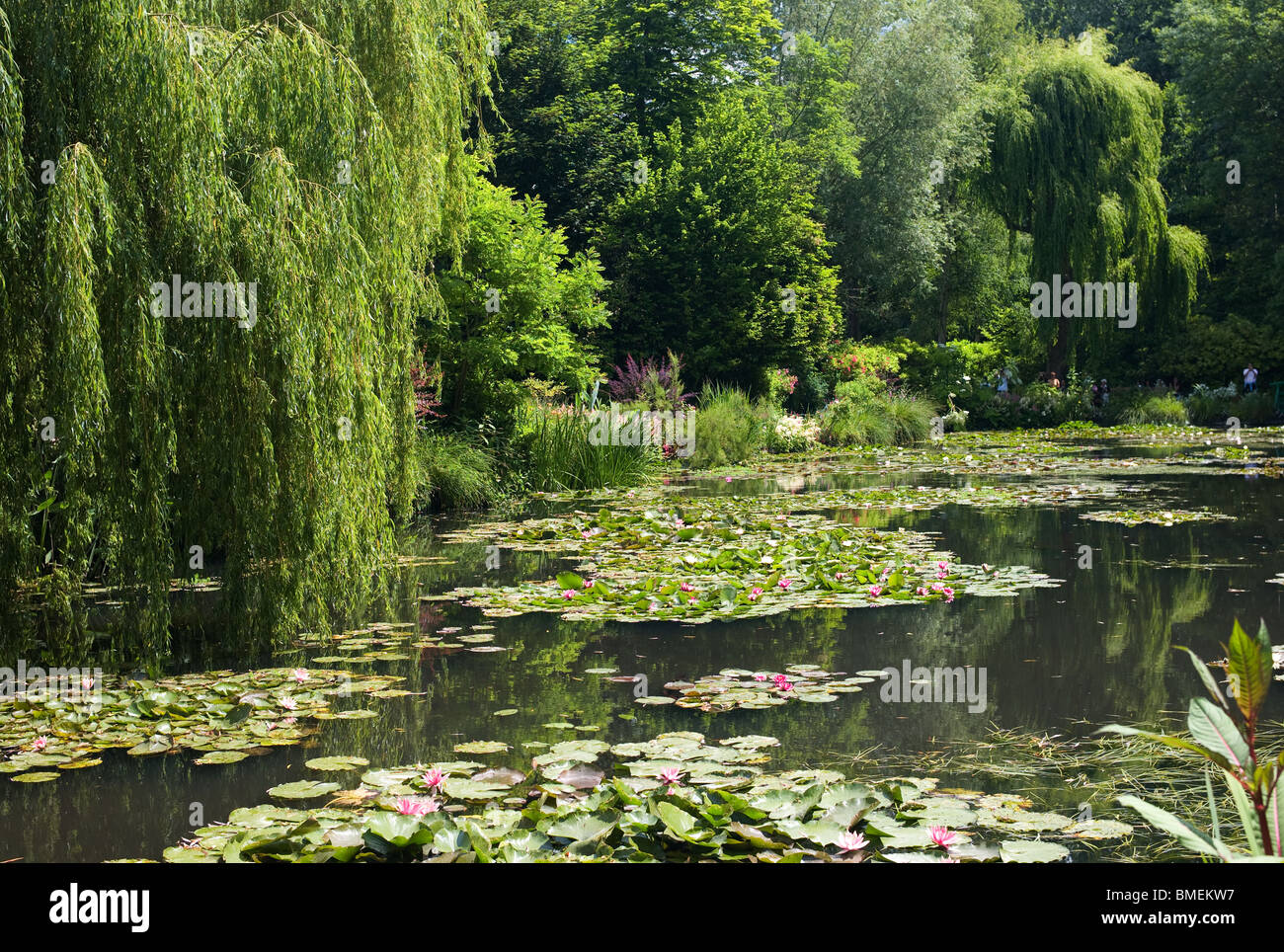 Jardins de Claude MONET GIVERNY, FRANCE Banque D'Images