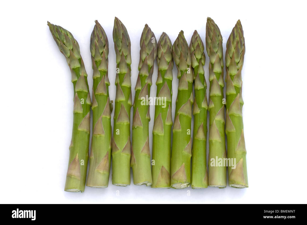La ligne des asperges sur un fond blanc Banque D'Images