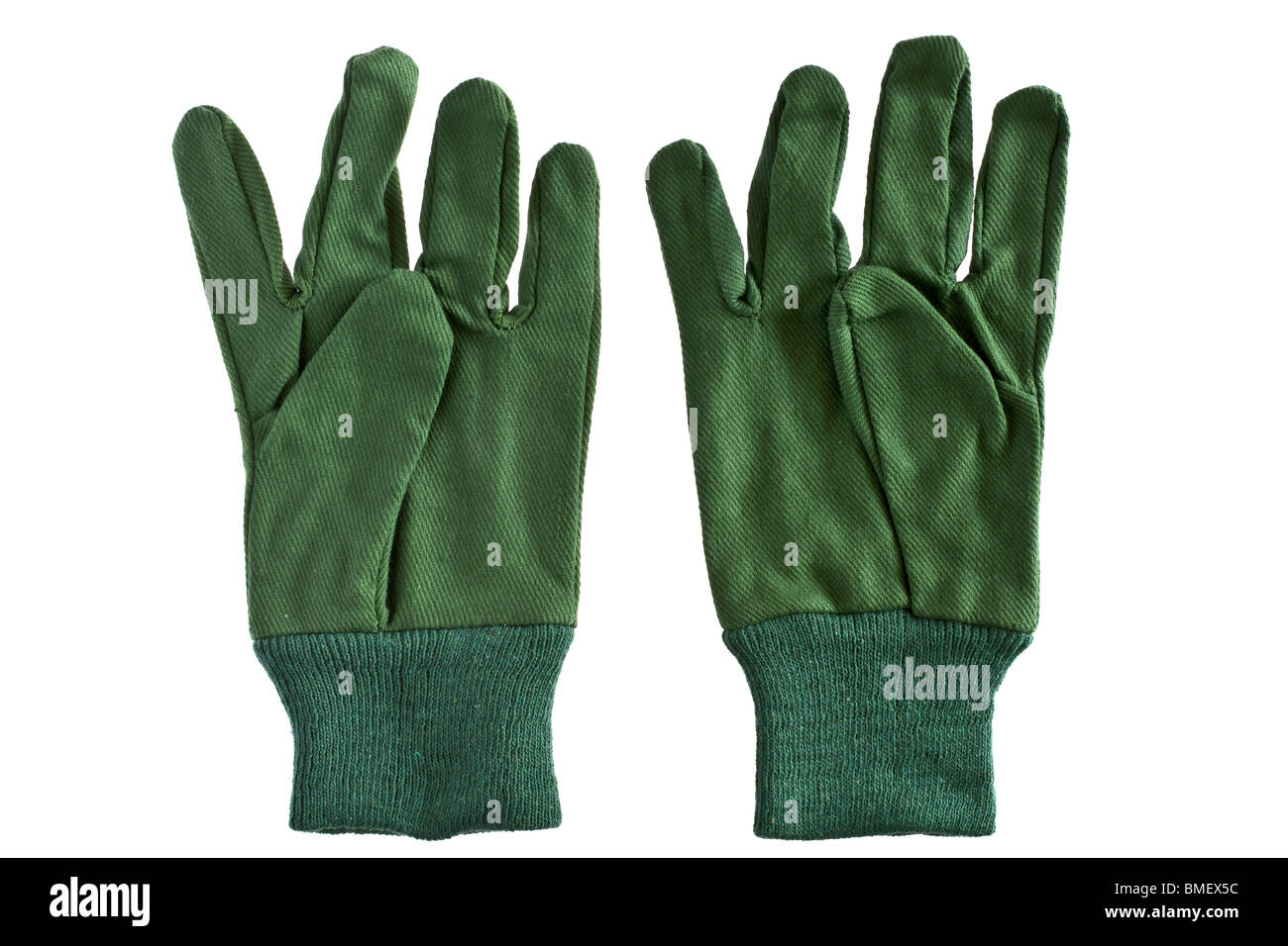 Paire de gants de jardinage vert petites dames Banque D'Images