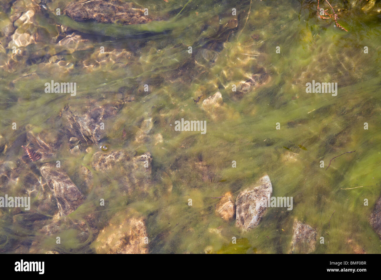 Courant dans le Lake District, Cumbria UK Banque D'Images