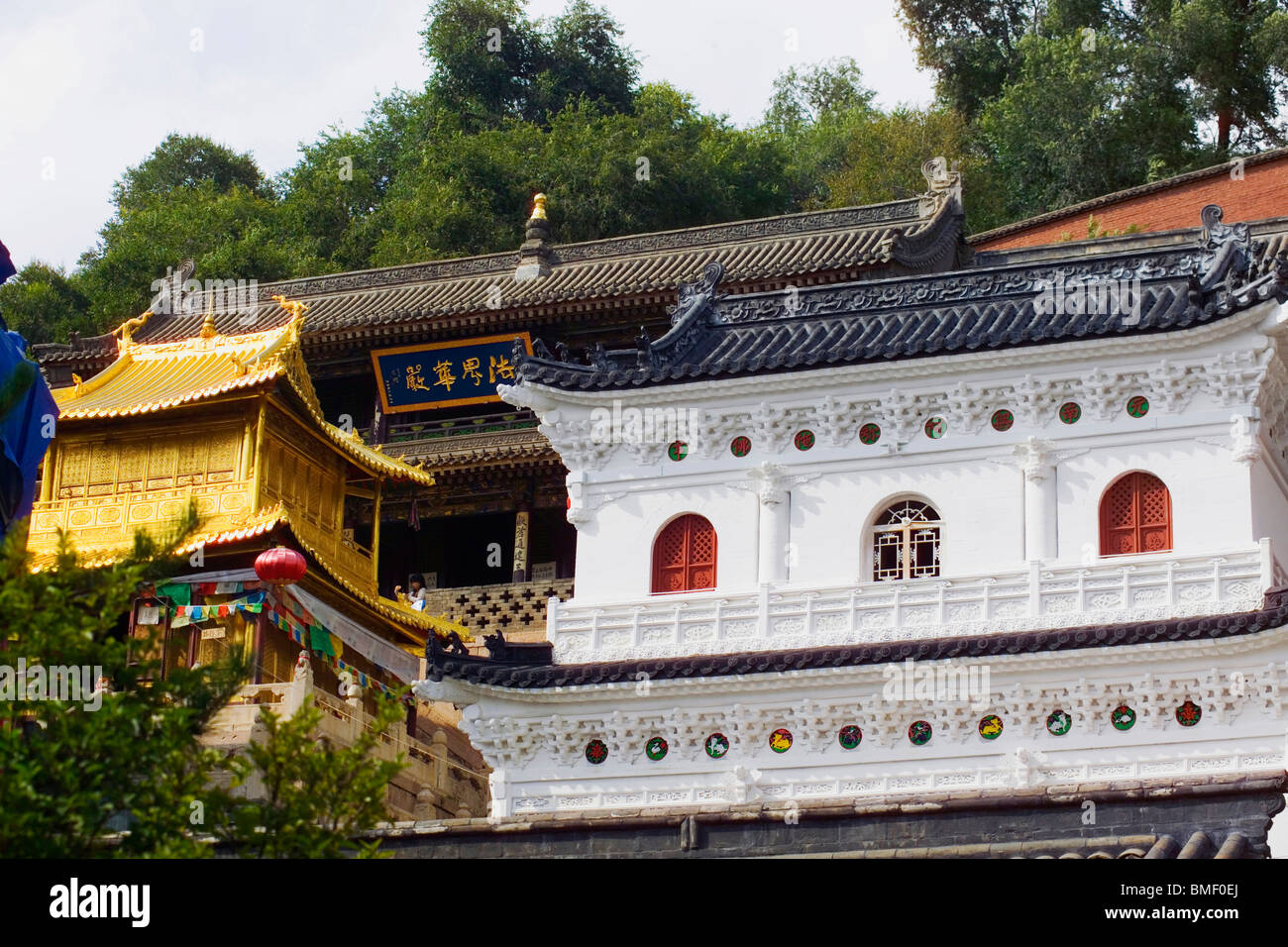 Qianbo Hall, Temple Xiantong Wenshu, Le Mont Wutai, Xinzhou City, province de Shanxi, Chine Banque D'Images