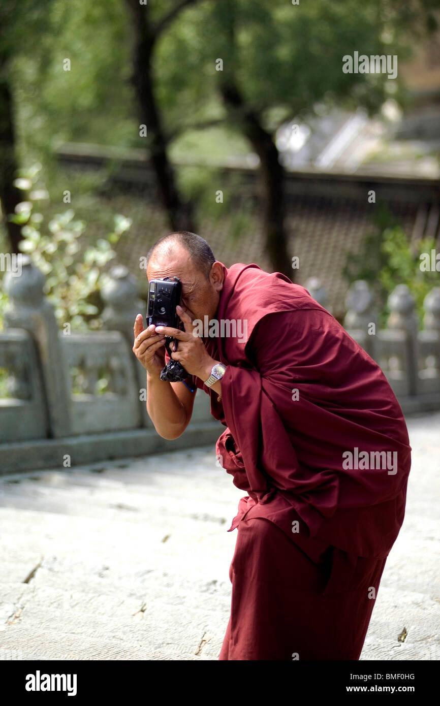 Lama Photo prise avec un appareil photo, Temple Longquan, Mont Wutai, Xinzhou City, province de Shanxi, Chine Banque D'Images