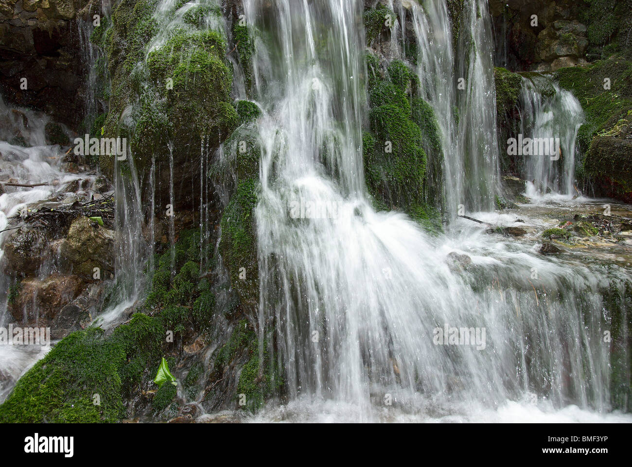 L'eau de source sur des roches couvertes de mousse en cascade Banque D'Images