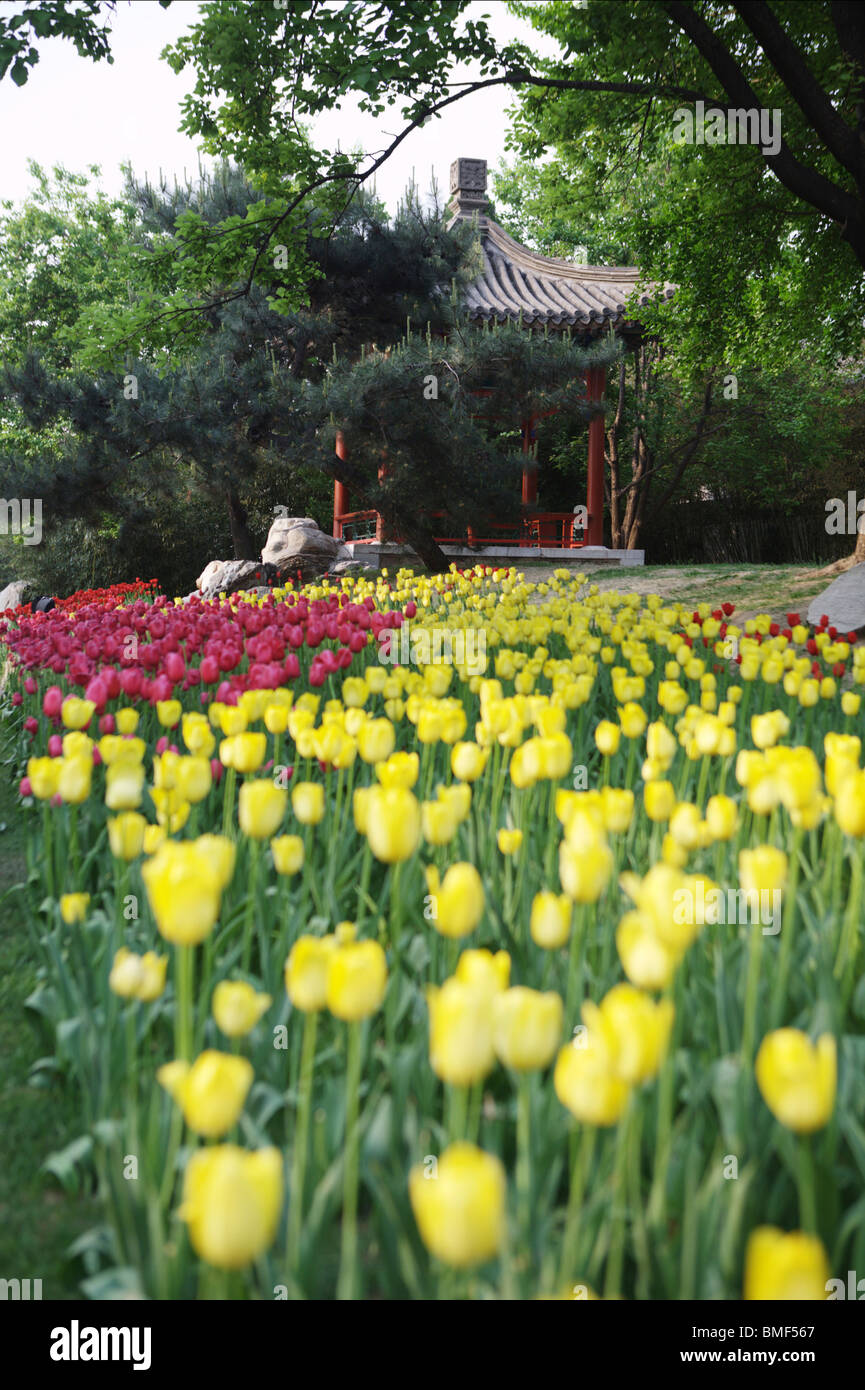 Parc Sun Yat Sen, Beijing, Chine Banque D'Images