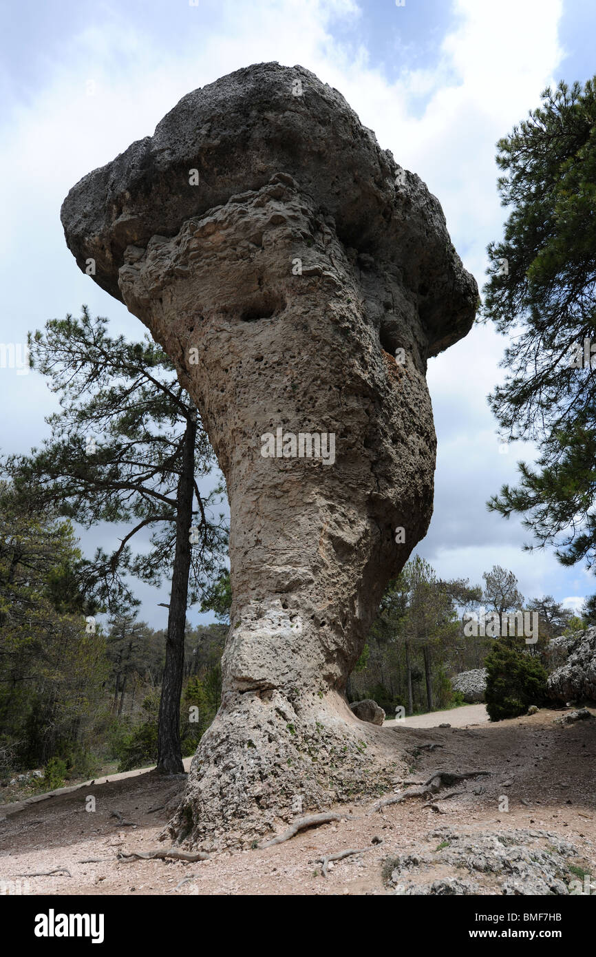 Formation de roche karstique, 'El Tormo Alto' Ciudad Encantada, province de Cuenca, communauté autonome de Castille-La Manche, Espagne Banque D'Images