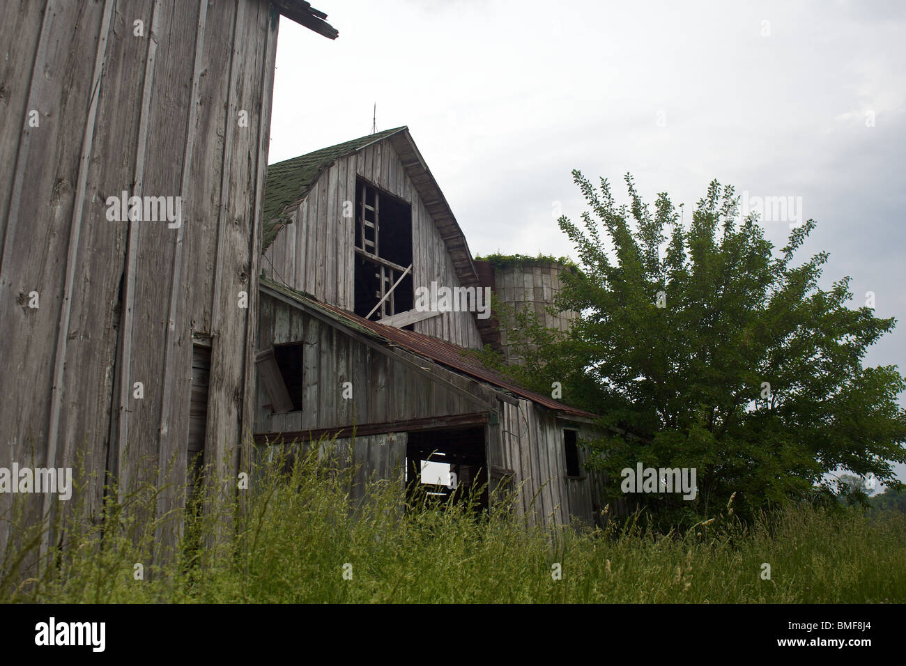 Deux anciennes granges en lambeaux, agiter dans une tempête Banque D'Images