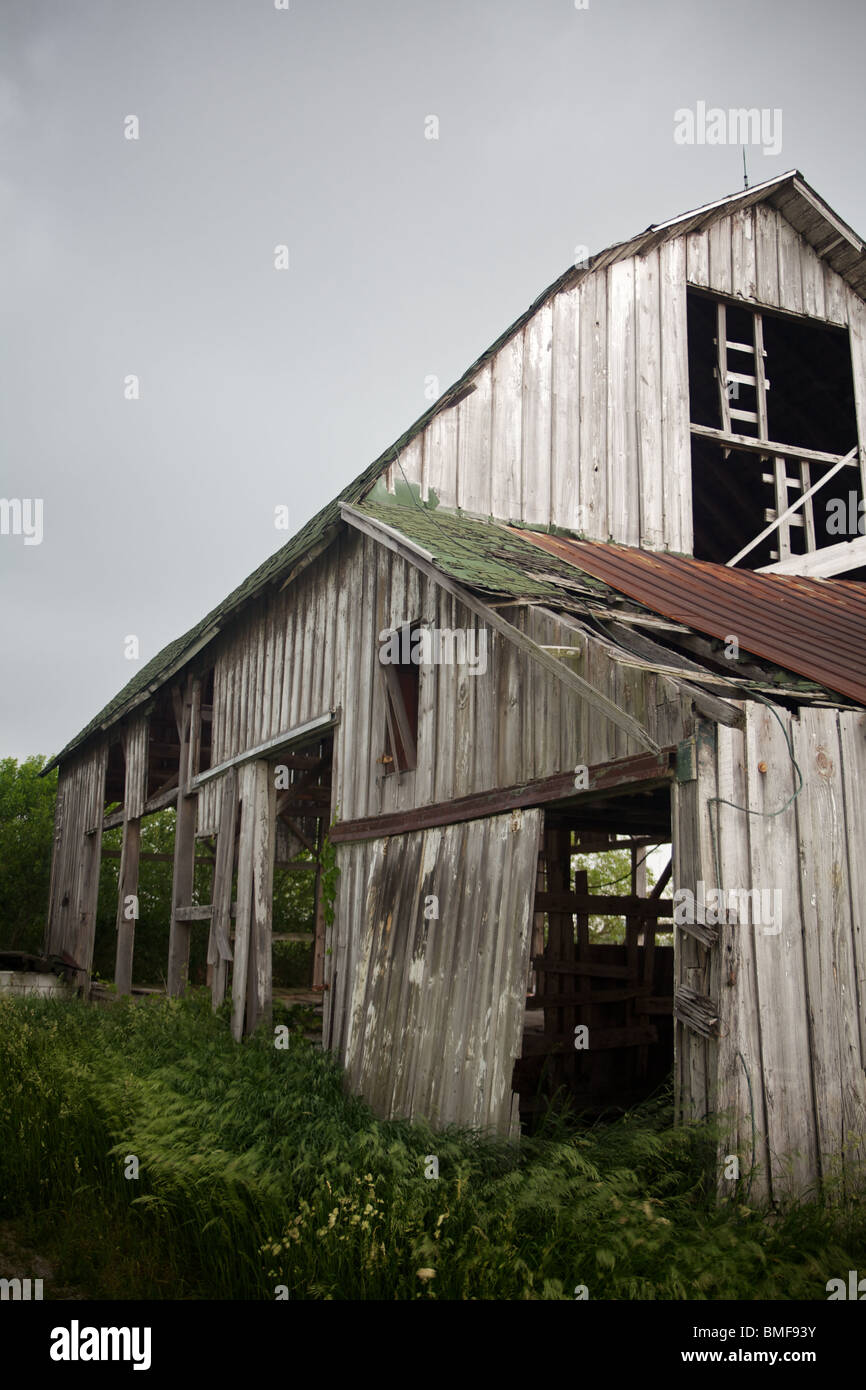 Ancienne grange avec Rusty Weathered, arrimés sur le toit par le vent des champs fouettée Banque D'Images