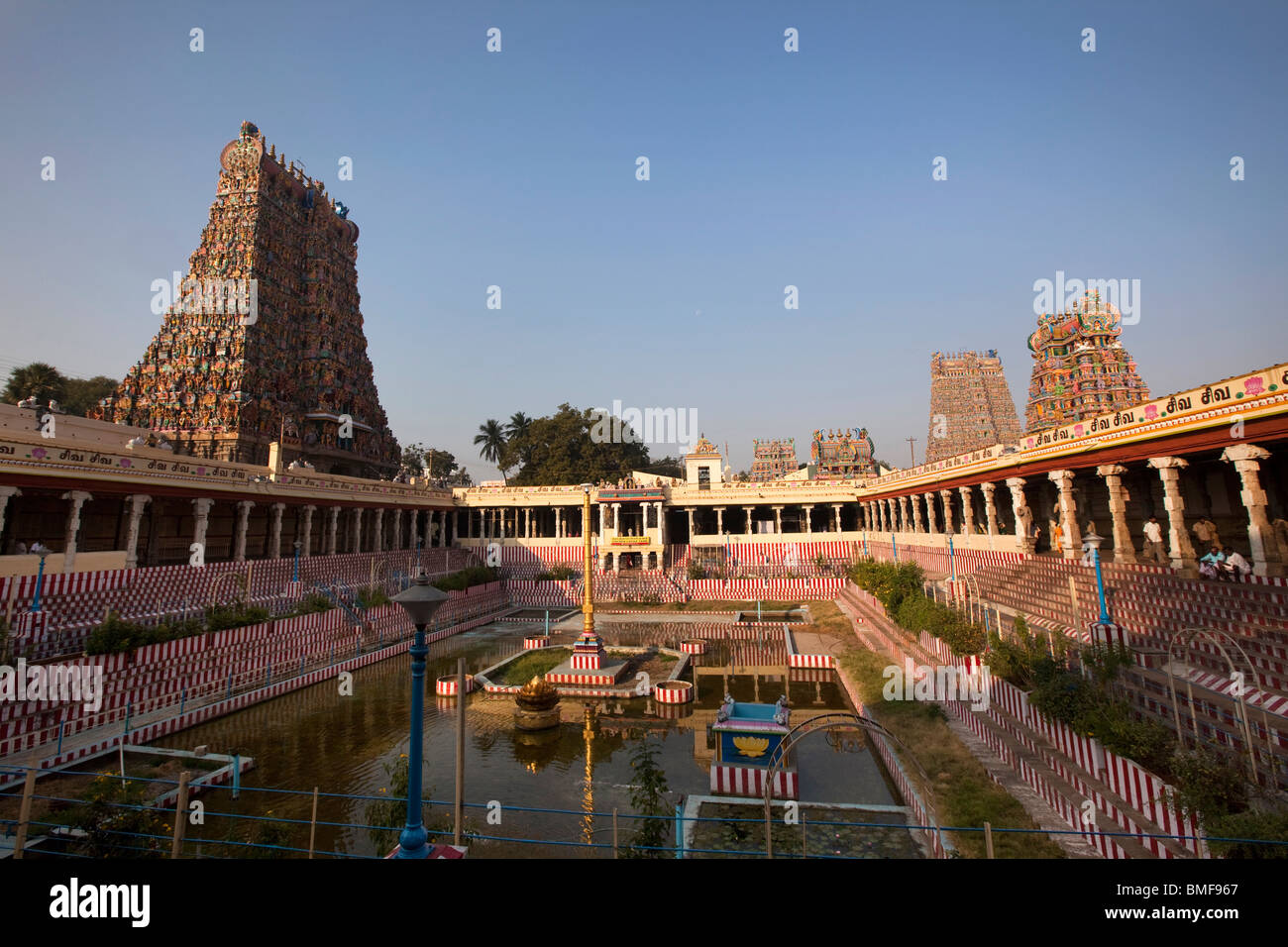 L'Inde, le Tamil Nadu, Madurai, Sri Meenakshi Temple, la piscine de Lotus Banque D'Images