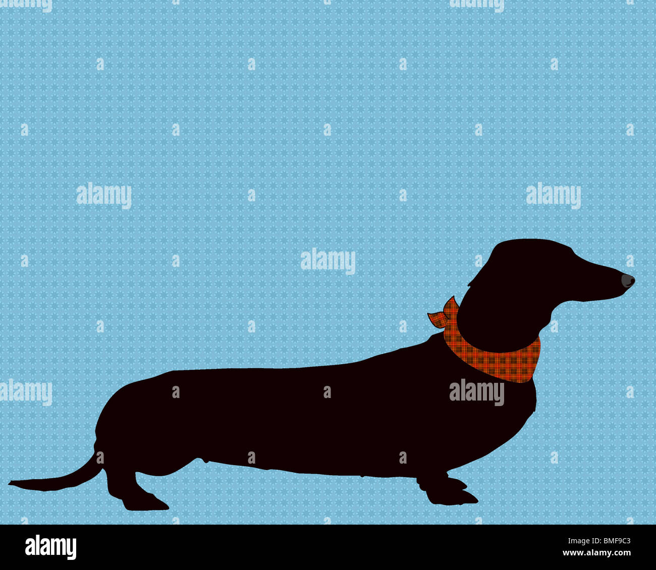 L'art, illustration, print, teckel, chien, animal, animal, animal lover, amoureux des chiens, silhouette, animaux domestiques, décor de mur, Banque D'Images