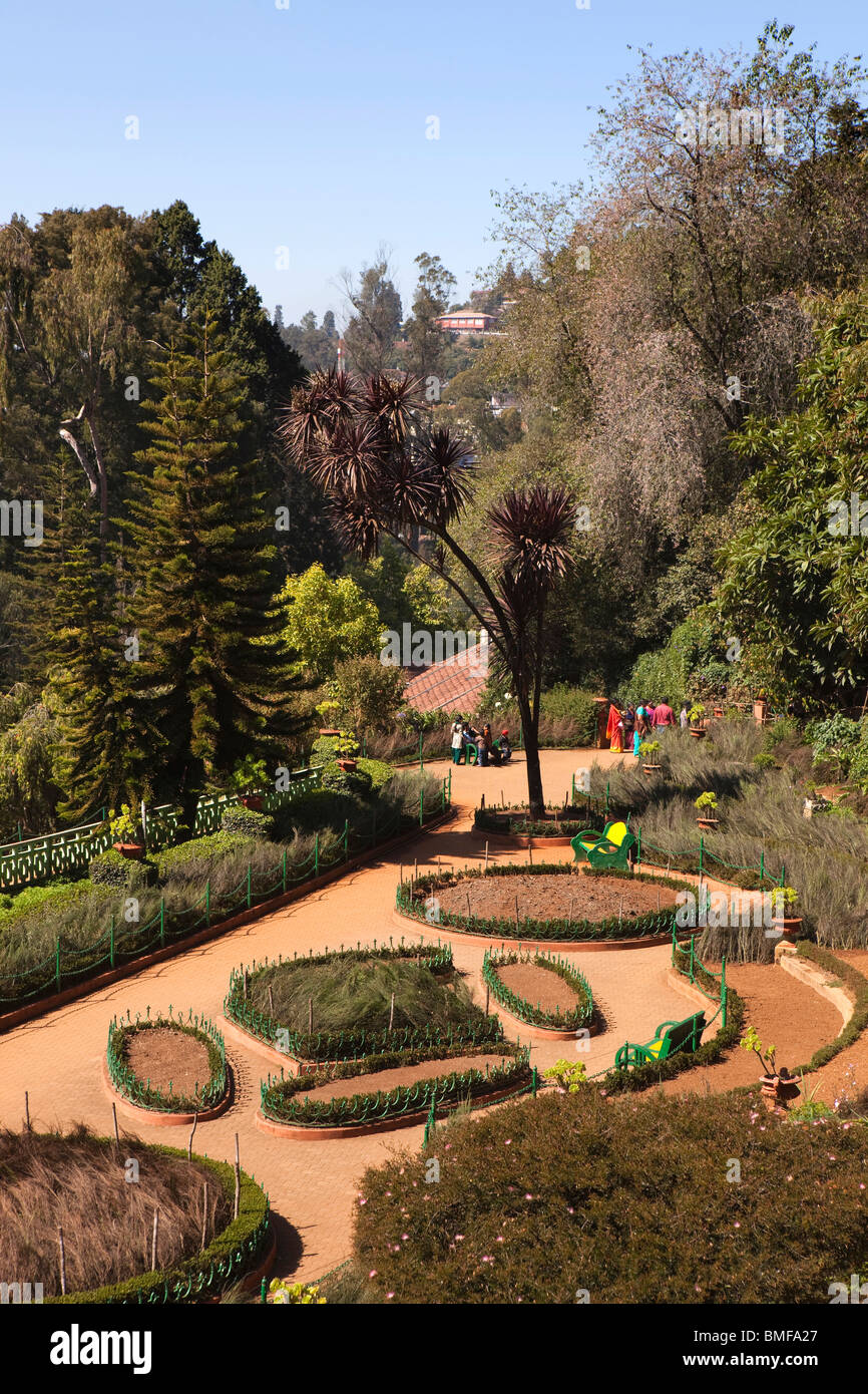 L'Inde, le Tamil Nadu, Udhagamandalam (Ooty), Jardins botaniques, jardin à l'Italienne terrasse, elevated view Banque D'Images