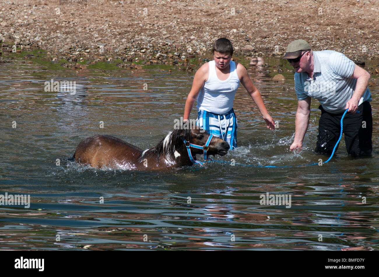 Coulisses de Appleby Horse Fair Juin 2010 Banque D'Images