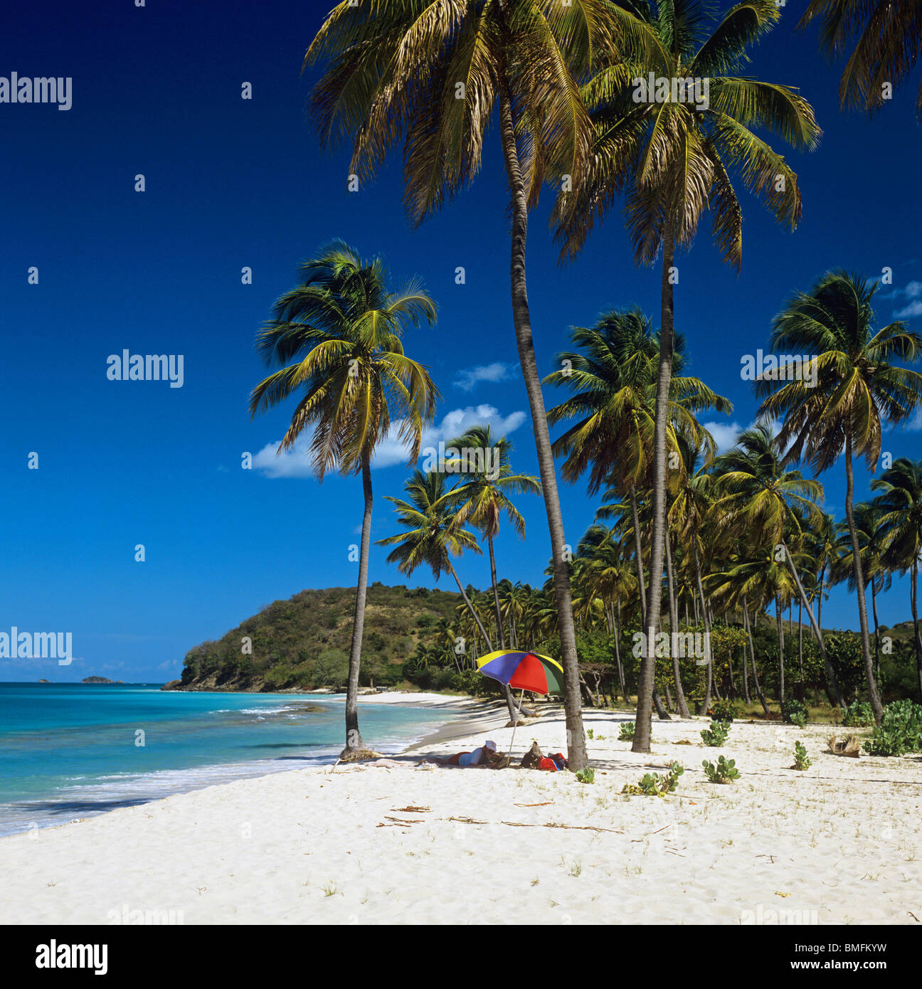 Belle plage de Darkwood sur l'île d'Antigua Banque D'Images