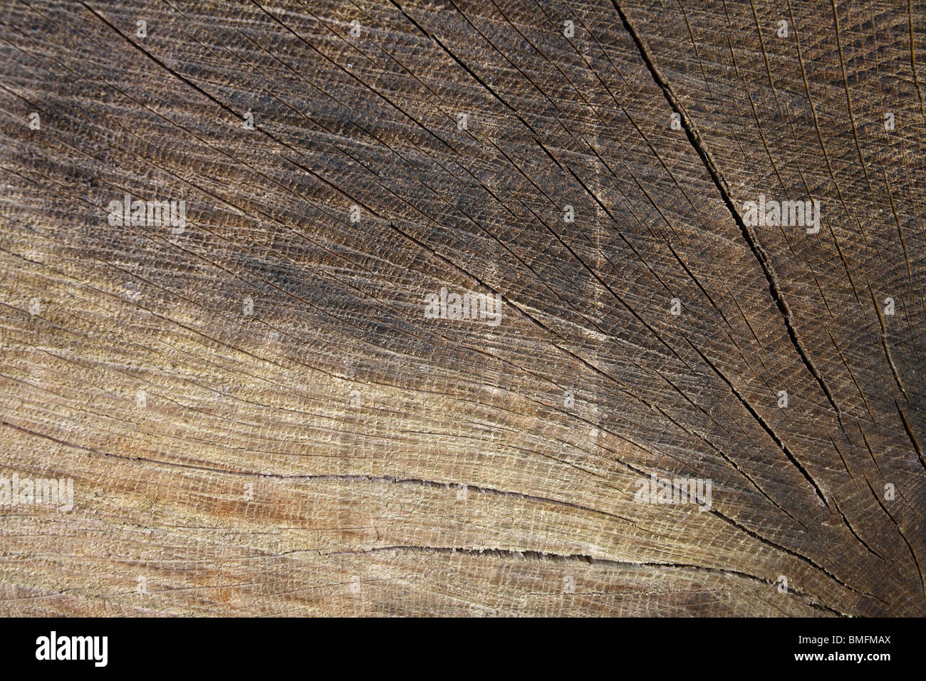 Grain de bois Banque D'Images