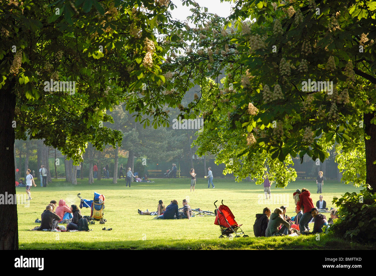 Prater vert gazon Banque D'Images