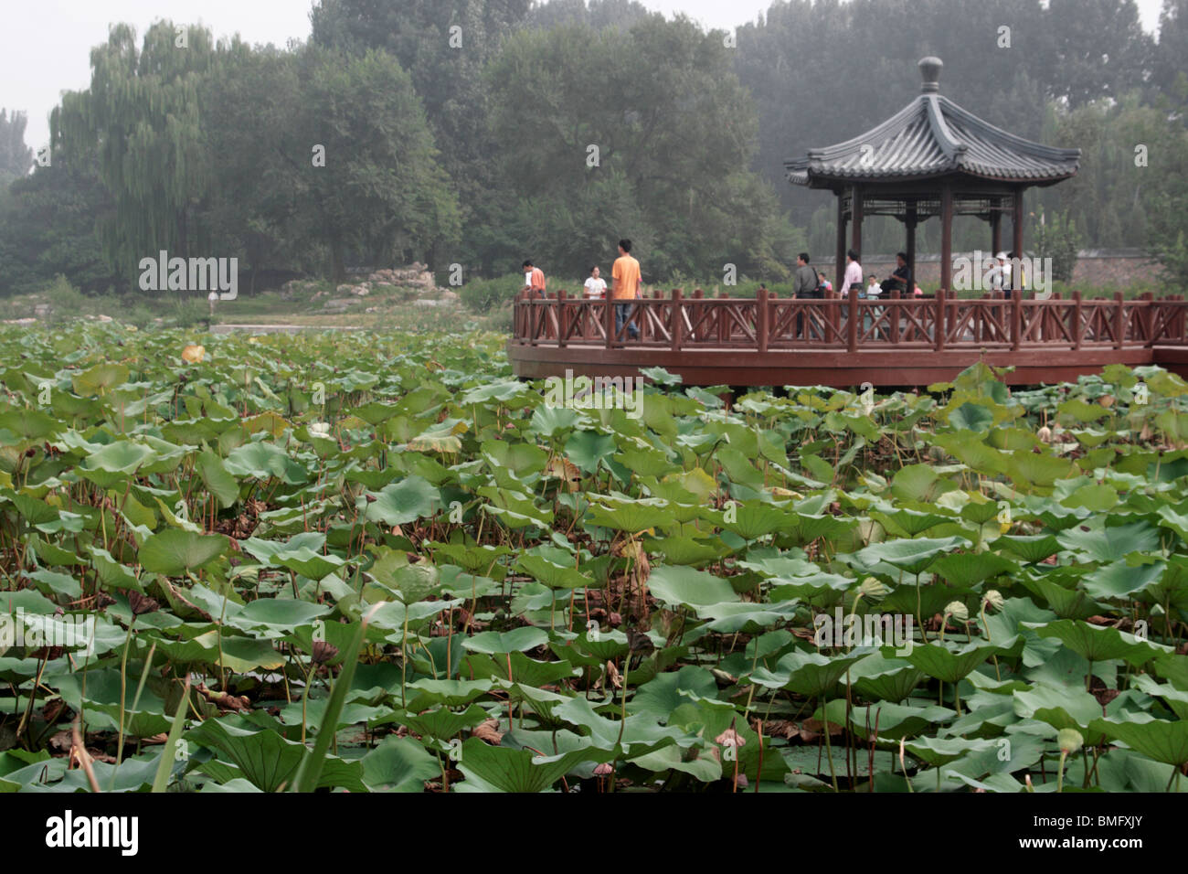 Ancien site de Qian Yuan, Yuan Chang Chun, Parc Yuanmingyuan, Beijing, Chine Banque D'Images