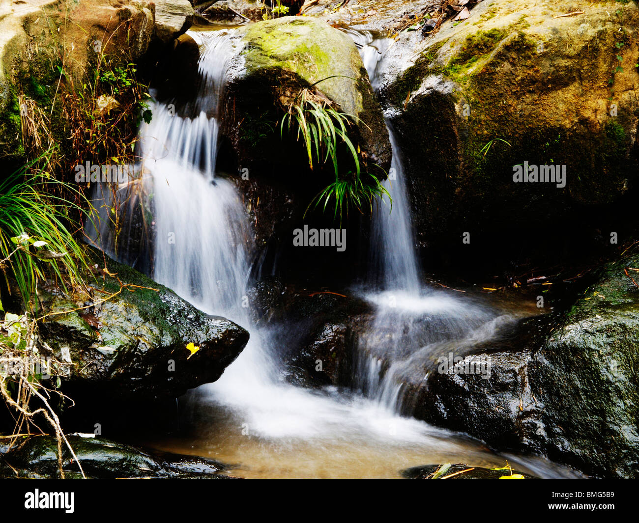 Cascade rocheuse, Wuyuan, province de Jiangxi, Chine Banque D'Images