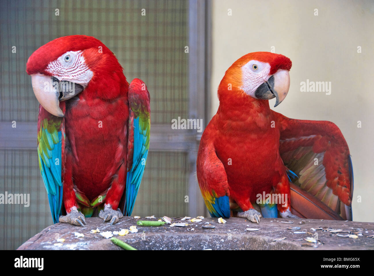 Parc des oiseaux à Kuala Lumpur, capitale de la Malaisie Banque D'Images