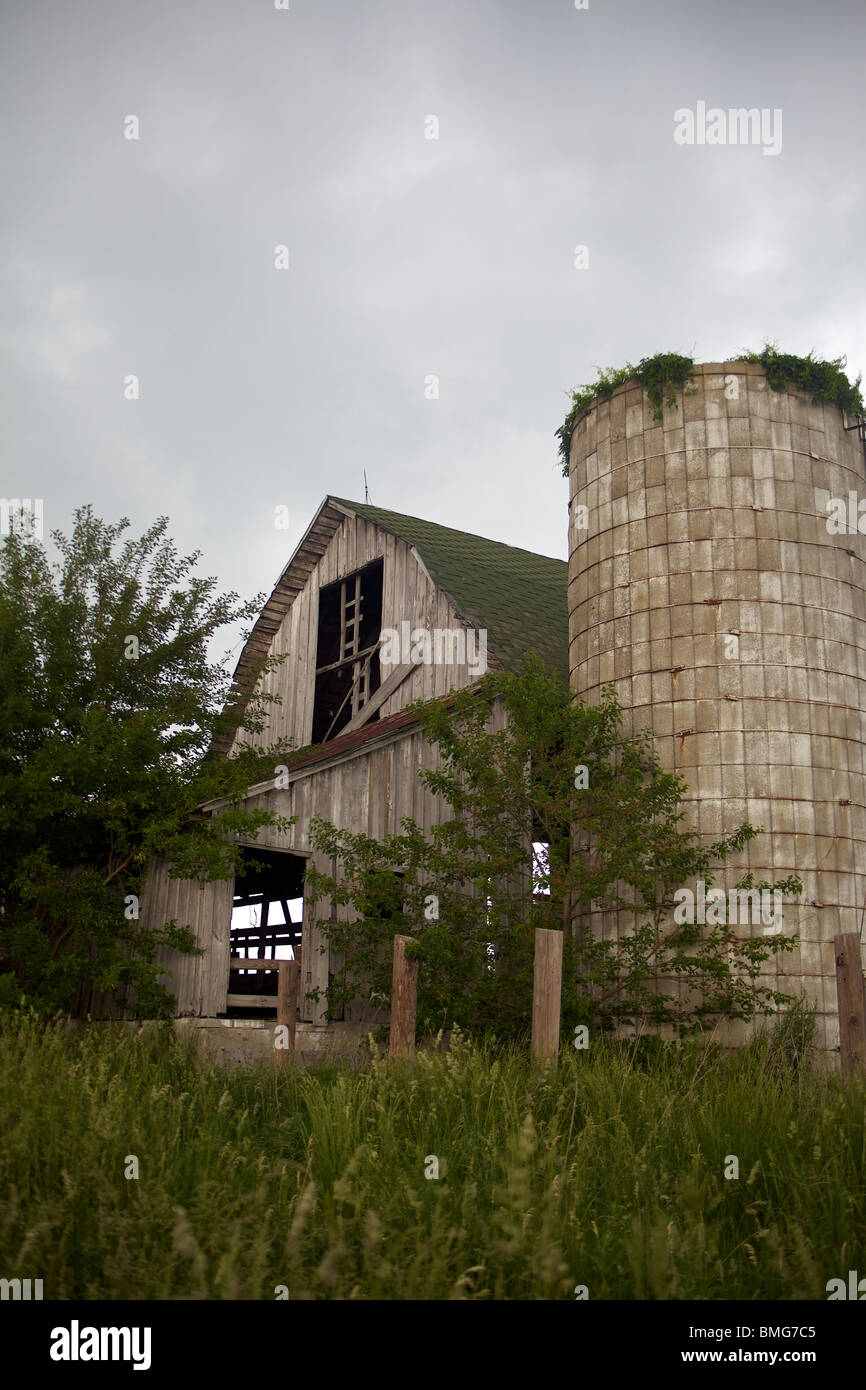 Vieux, gris, grange abandonnée et envahi par une autre tempête résister à Silo Banque D'Images