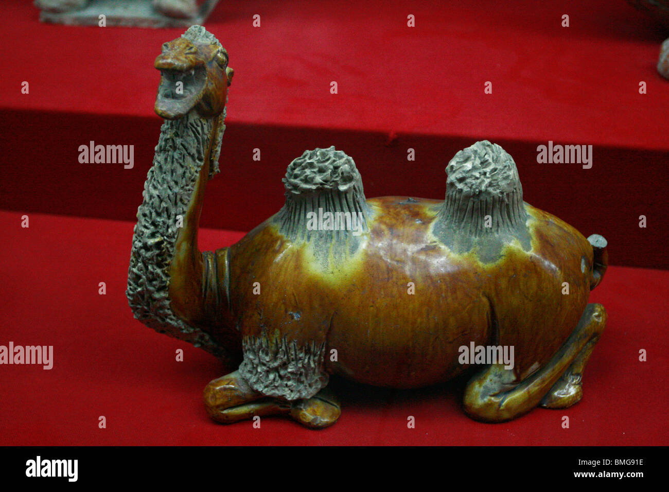 Statue de chameau Trois couleurs Tang Dynastie Tang exposées au Musée d'histoire de Shaanxi, Xi'An, province du Shaanxi, Chine Banque D'Images