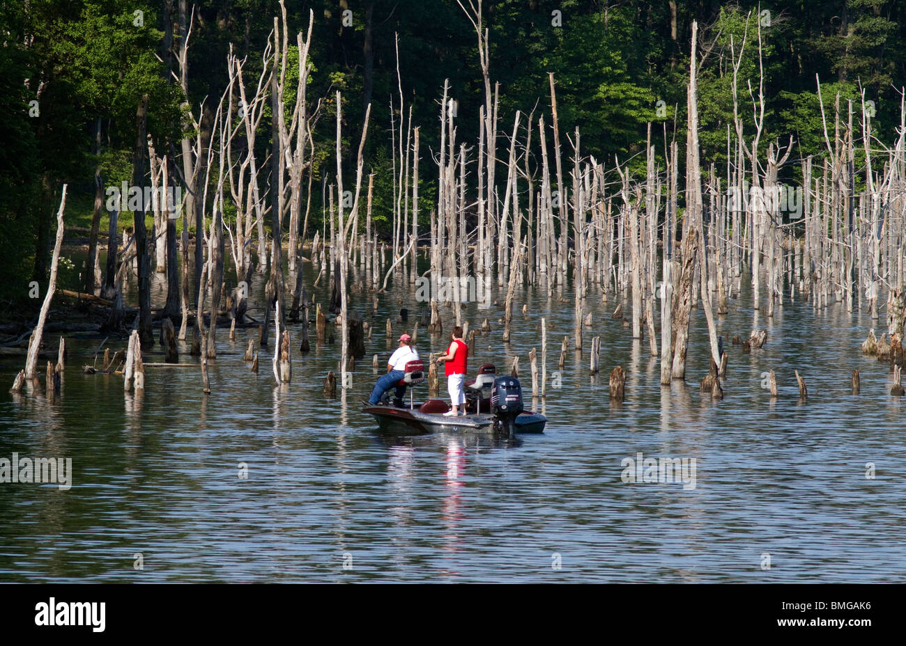 Un bateau de pêche basse structure de pêche un peuplement de vieux arbres morts. Banque D'Images