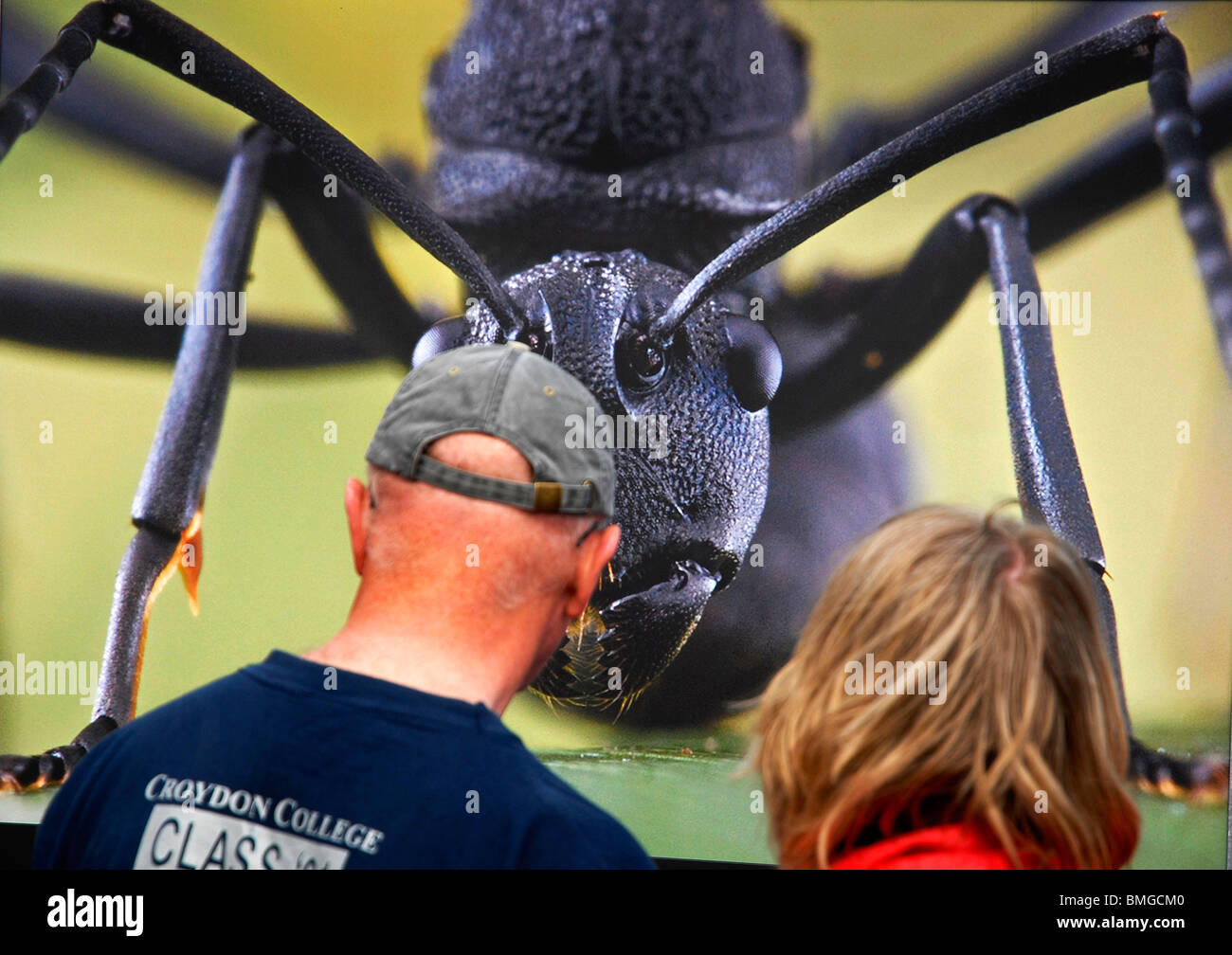 Les visiteurs de front de mer de Brighton à Planète Sauvage à l'affichage de photo-Angry Reine photo de Piotr Naskrecki. Banque D'Images