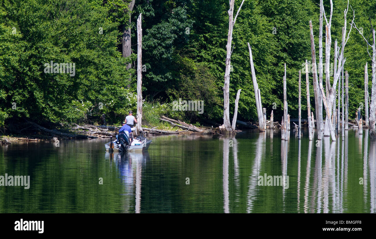 Un bateau de pêche basse structure de pêche un peuplement de vieux arbres morts. Banque D'Images