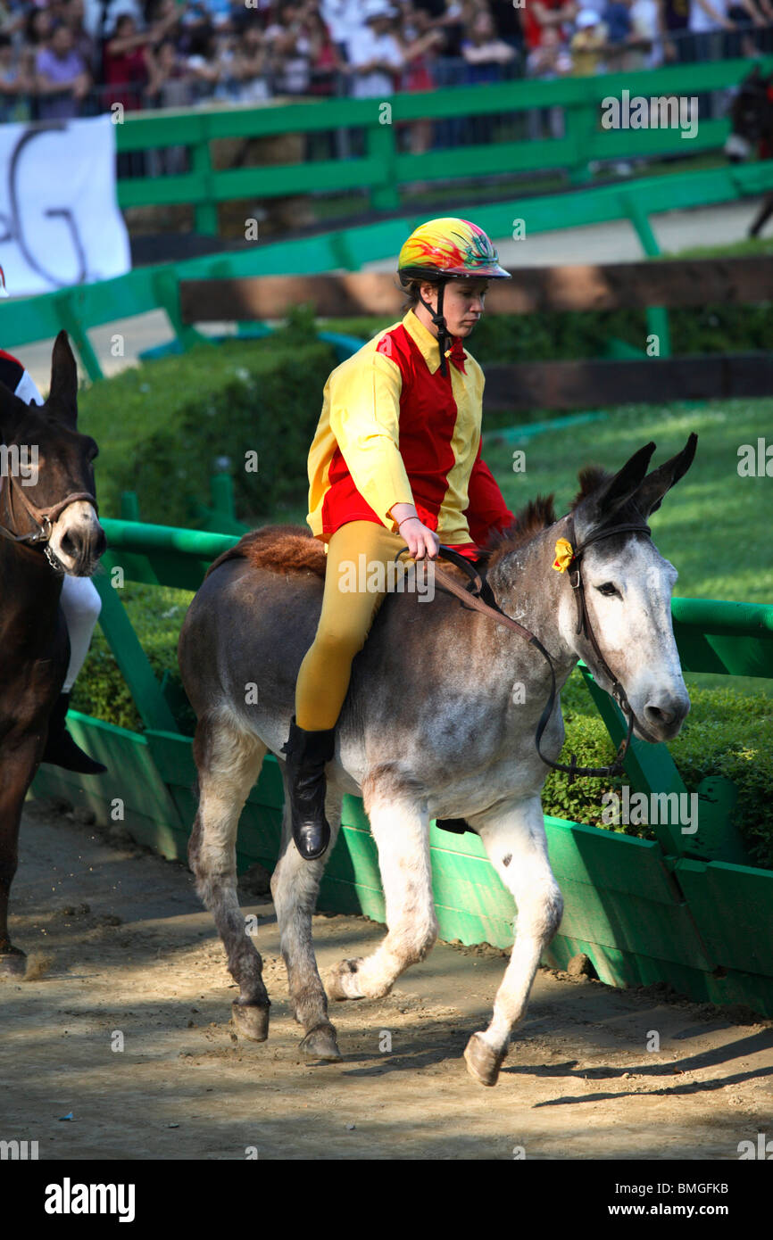 La race de l'âne (Palio San Maurelio) au Palio de Ferrare, Italie Banque D'Images