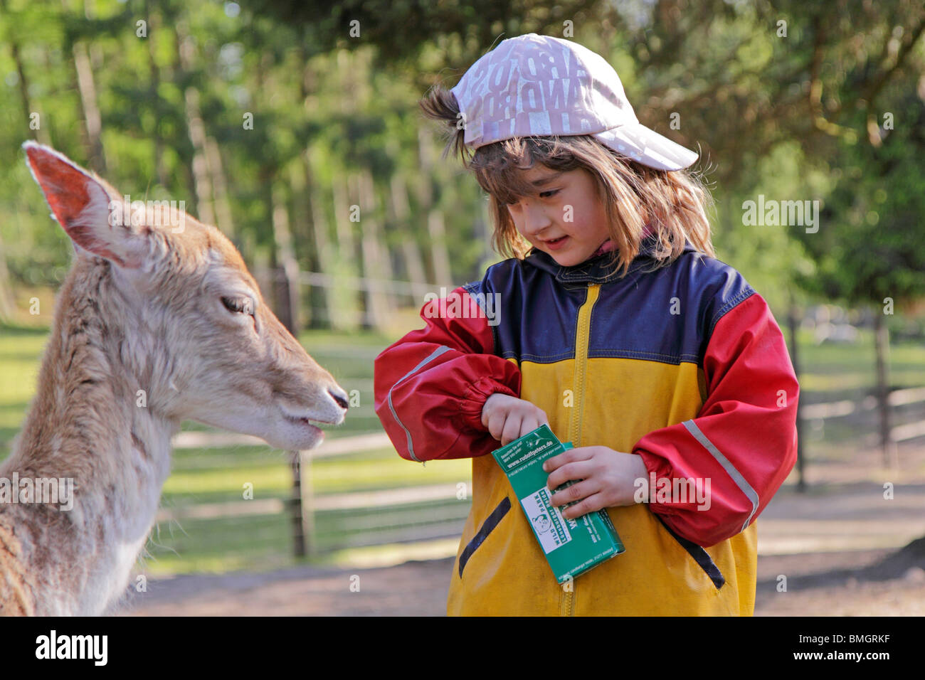 Jeune fille au cerf d'un zoo pour enfants Banque D'Images