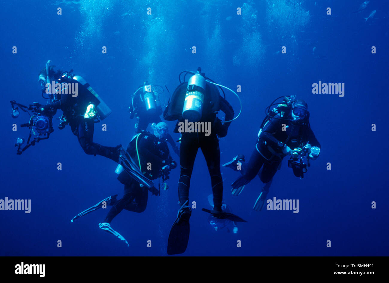 Les plongeurs sous l'eau, près de Darwins Arch. Galapagos. La photographie sous-marine. Les amateurs de plongée sous-marine avec des caméras. Banque D'Images