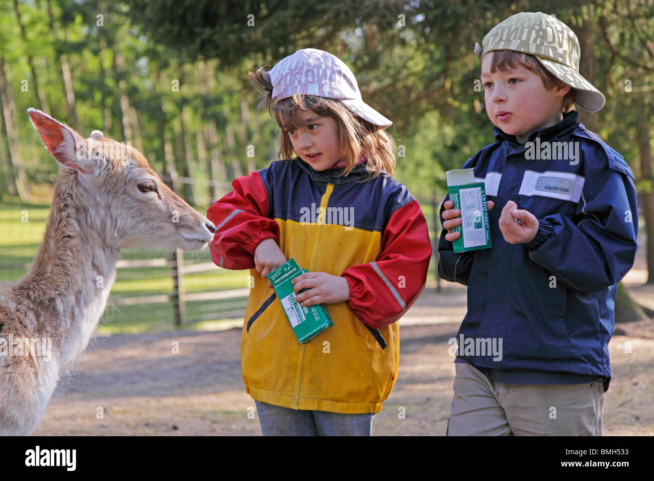 Jeune fille et garçon au cerf d'un zoo pour enfants Banque D'Images